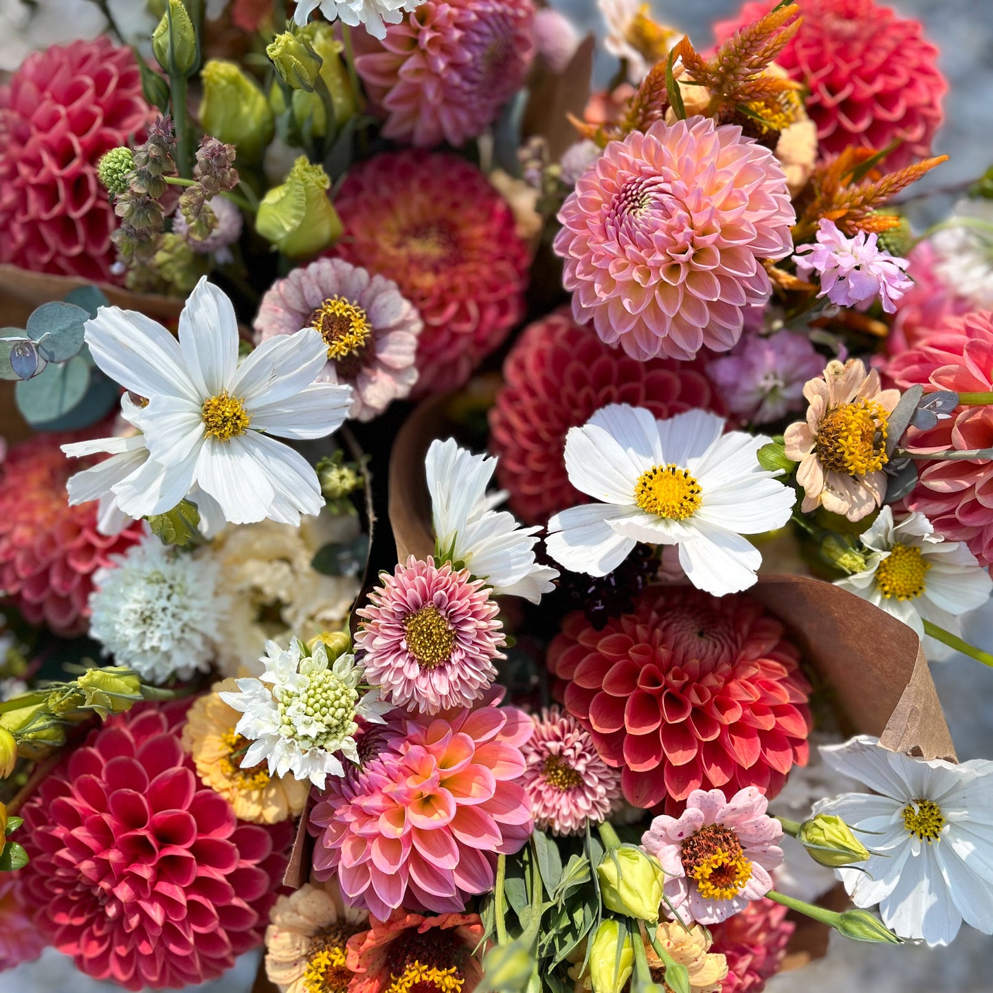 Bouquet Subscription BI-WEEKLY