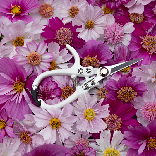 Floral Snips 'Pure White'