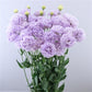 Lisianthus Lavender